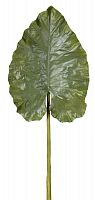 декор giant taro leaf в Чите