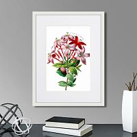 картина: caribian flora red and pink flower, 1740г. в Чите