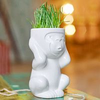 горшок для растений eco игнорик в Чите