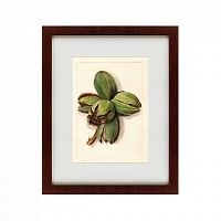 картина: watercolor collection, drawing №1, 1909 в Чите