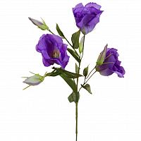 лизиантус фиолетовый 78 см (36) в Чите