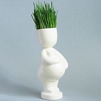 набор для выращивания eco мама в Чите