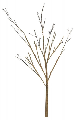 декор twig stem в Чите