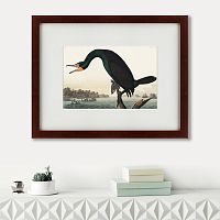 картина: florida cormorant, 1835 в Чите