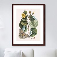картина: beauty bloom №3, 1732г. в Чите