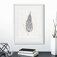 картина: the fern collection №5 в Чите