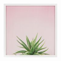 постер aloe разноцветный в Чите