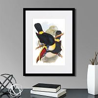 картина: toucans №2, 1849г. в Чите