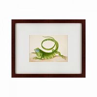 картина: green iguana, 1701 в Чите