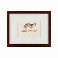 картина: an ocelot, 1801 в Чите