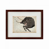картина: signs of zodiac taurus, 1825 в Чите
