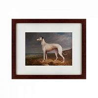 картина: portrait of a greyhound, 1744 в Чите