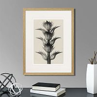 картина: botanical philosophy of forms №7, 1912г. в Чите