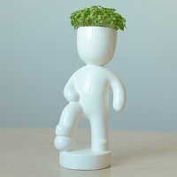 набор для выращивания eco футболист в Чите