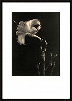 постер с паспарту в раме gentle sepia ver. 6 в Чите