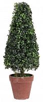 искусственное дерево в горшке topiary в Чите