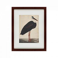 картина: black stork in a landscape, индия, 1780 в Чите