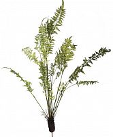 декор fern plant в Чите