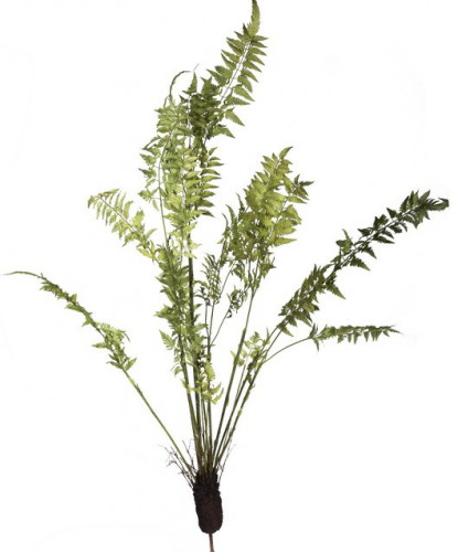декор fern plant в Чите