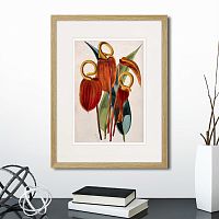картина: exotic plants of the world №15, 1815г. в Чите
