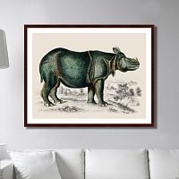 картина: rhinoceros, 1774г. в Чите
