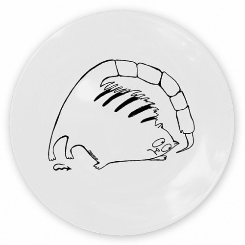 кот-скорпион в Чите