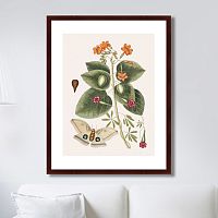 картина: beauty bloom №4, 1732г. в Чите