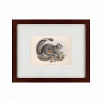 картина: the squirrel, 1879 в Чите