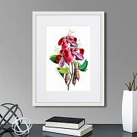 картина: caribian flora pink and purple flower, 1740г. в Чите