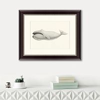 картина: bowhead whale (balaena mysticetus), 1856 в Чите