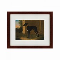 картина: portrait of a greyhound called pompon, 1746 в Чите