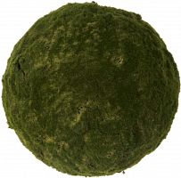 декор moss sun в Чите