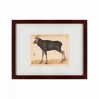картина: moose, 1560 в Чите