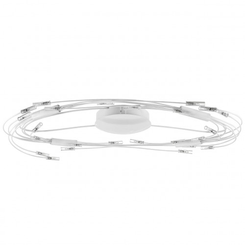 потолочный светильник lightstar ovale 784246 в Чите