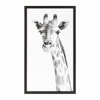 постер giraffe черный в Чите