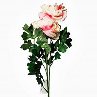 пион розовый 62 см (12) в Чите