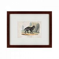 картина: a caracal or lynx, 1830 в Чите