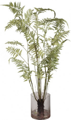 декор fern в Чите