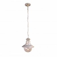 уличный подвесной светильник arte lamp amsterdam a1523so-1wg в Чите