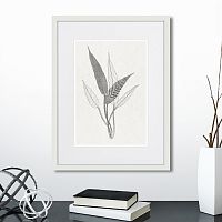 картина: the fern collection №6 в Чите