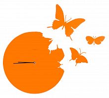 часы настенные оранжевые бабочки butterfly в Чите