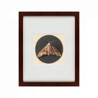 картина: owlet moth, 1700 в Чите
